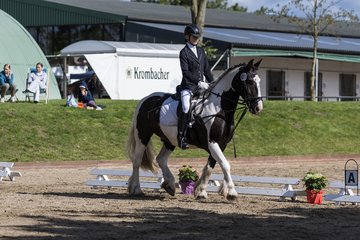 Bild 35 - Pony Akademie Turnier